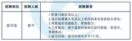 2025年威寧富民村鎮銀行暑期實習生招聘啟事